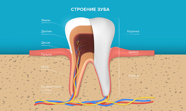 фото из свободных источников 