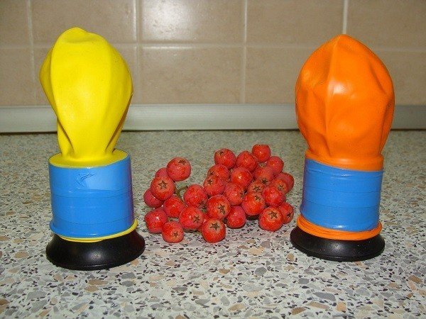 фото из интернета