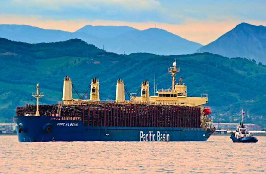 Лес - бревна навалом...