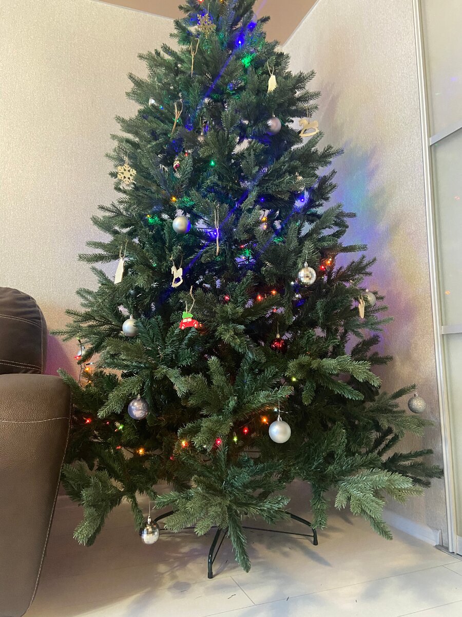 Моя красавица