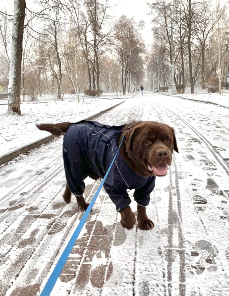 Юджин и моя первая прогулка с ним