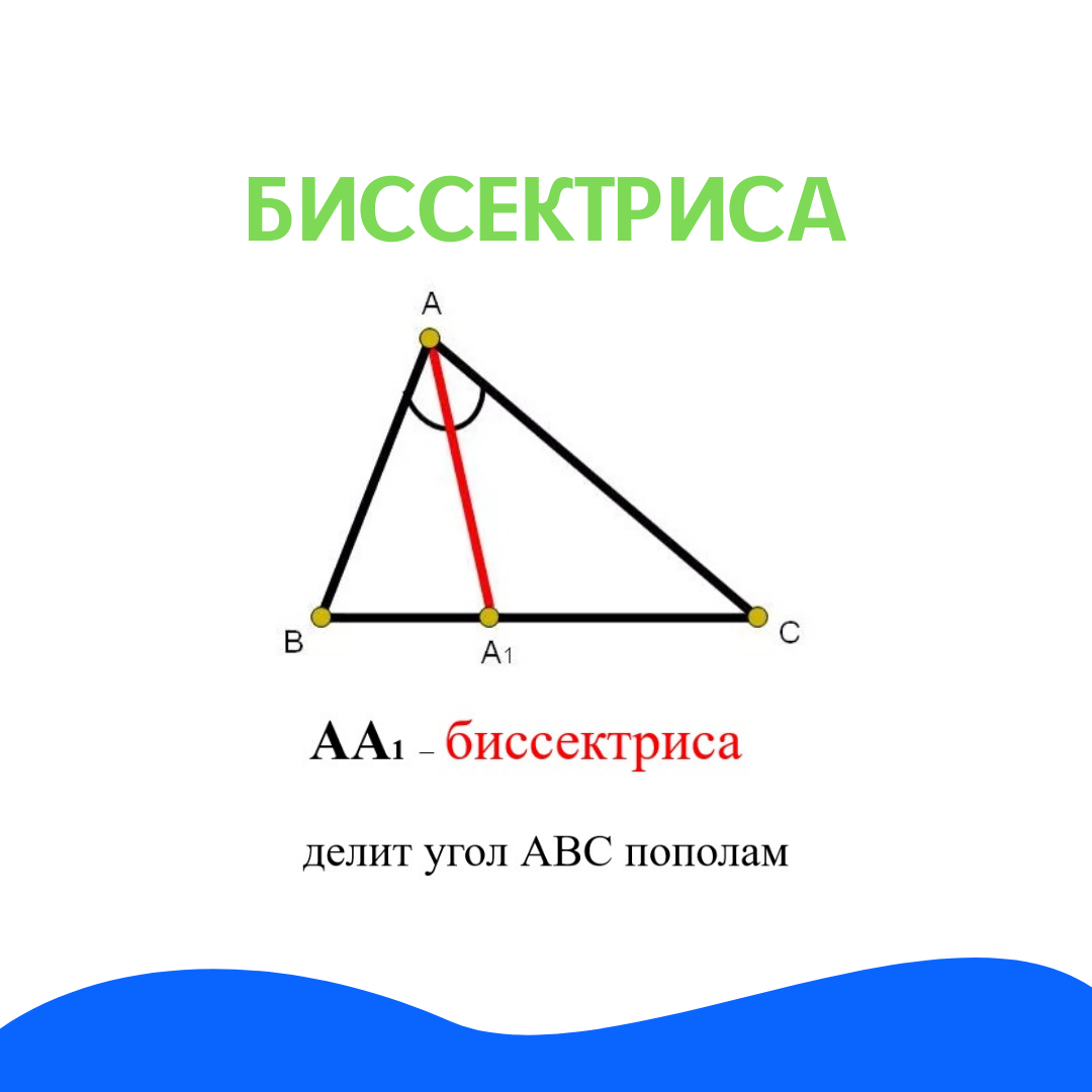 Треугольник пополам как называется. Что делит угол пополам. отрезок делящий угол пополам. что делит угол пополам в треугольнике.