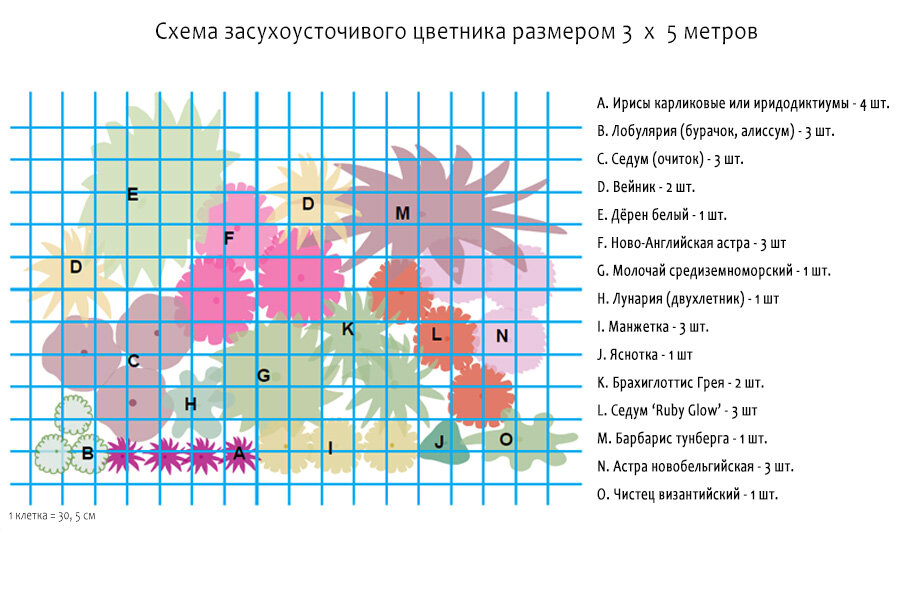 Схема цветника . 1 клетка = 30,5 см.