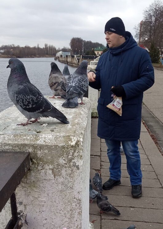 На фото: муж кормит голубей.