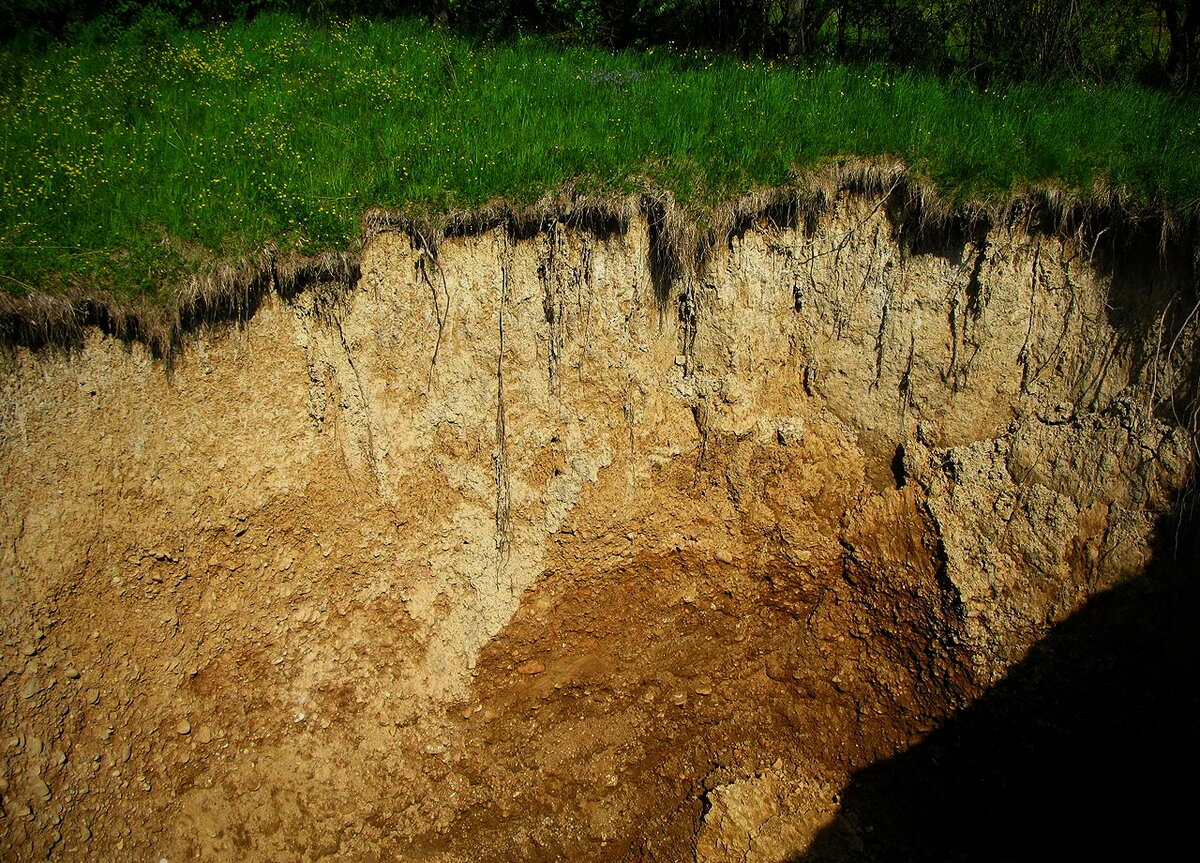 Срез холма. Такое вы можете увидеть на всей территории  России