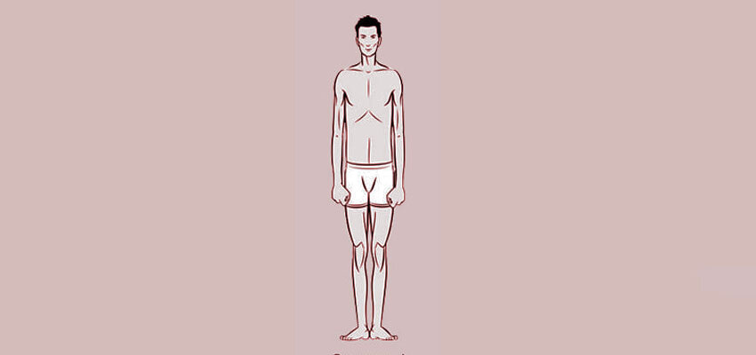 тип эктоморф