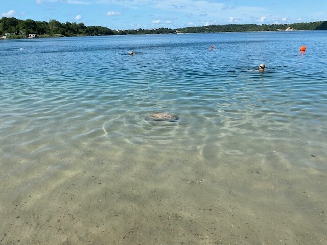 Чистейшее Виштынецкое озеро