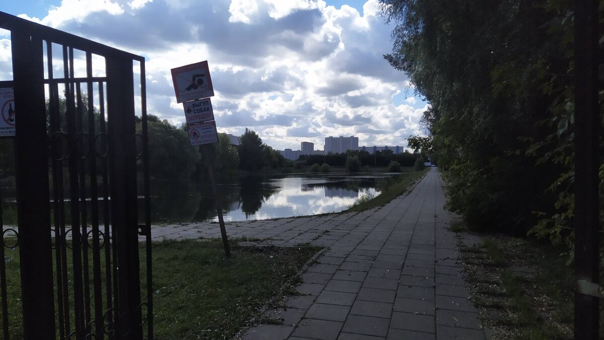 Лиственничная аллея