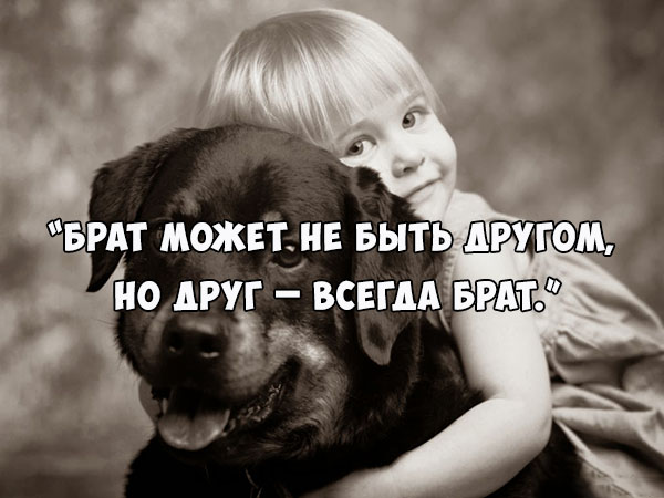 Картинка из открытого доступа сети Интернет.