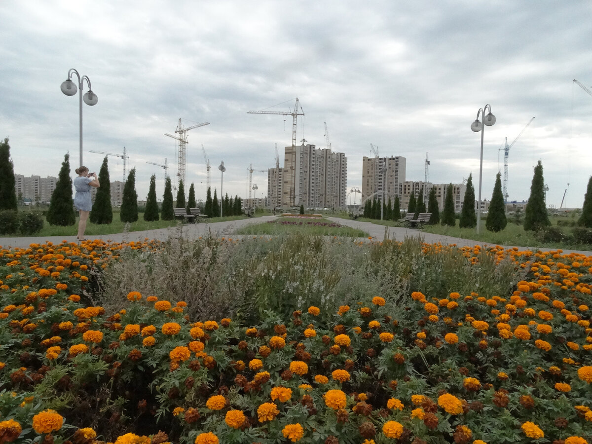 Олимпийский парк тамбов