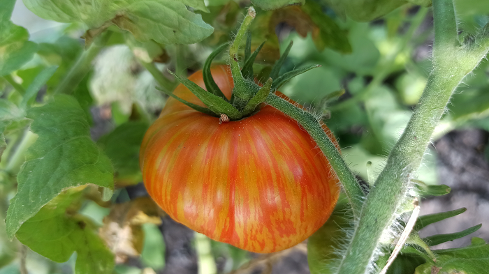 личный архив