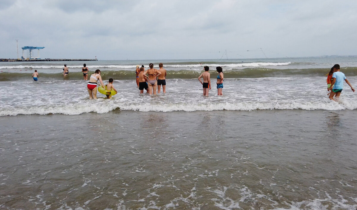 Водоросли и цветущее море в Анапе. Камка была здесь еще до нашей эры |  Анапа Сити | Дзен