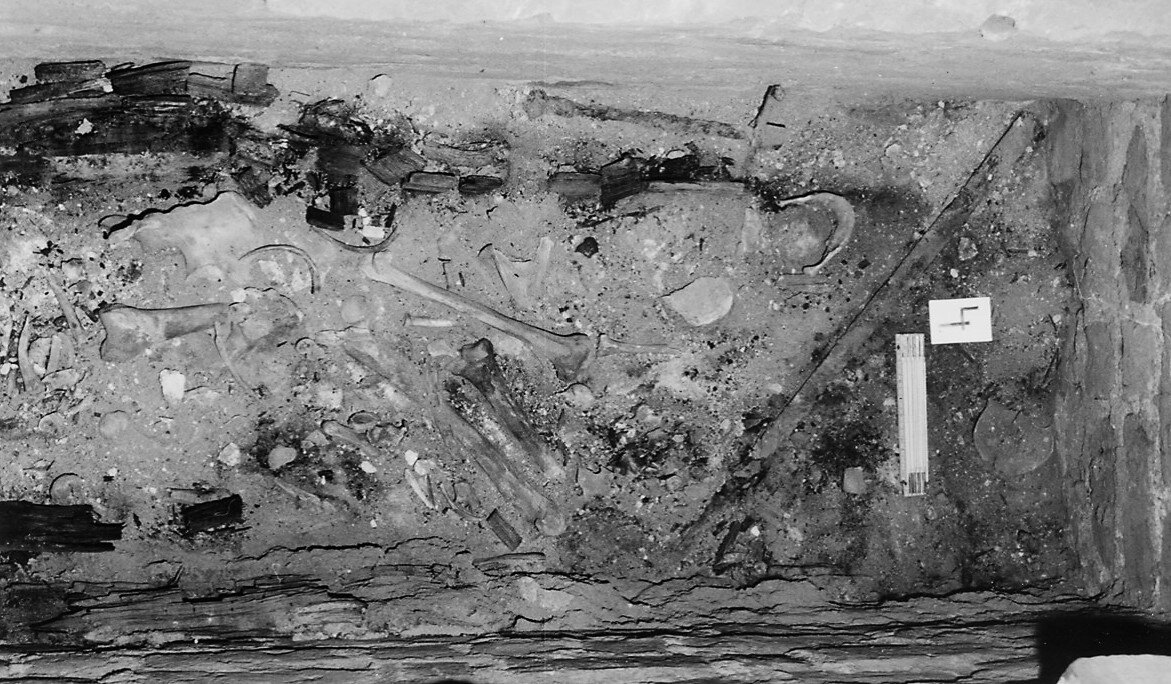 Фото с места раскопок.