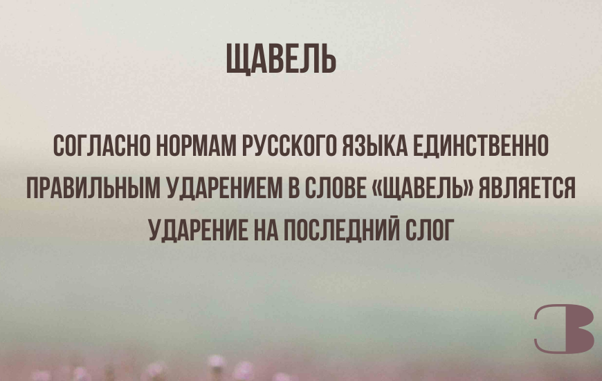 3. Где ударение в слове "щавель"?