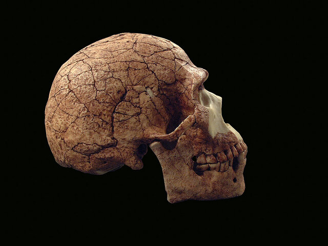 фото: mayak-parnasa.livejournal.com