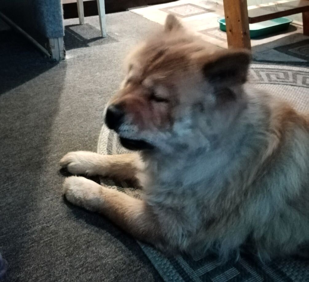 Саманта: "Ща чихну!"