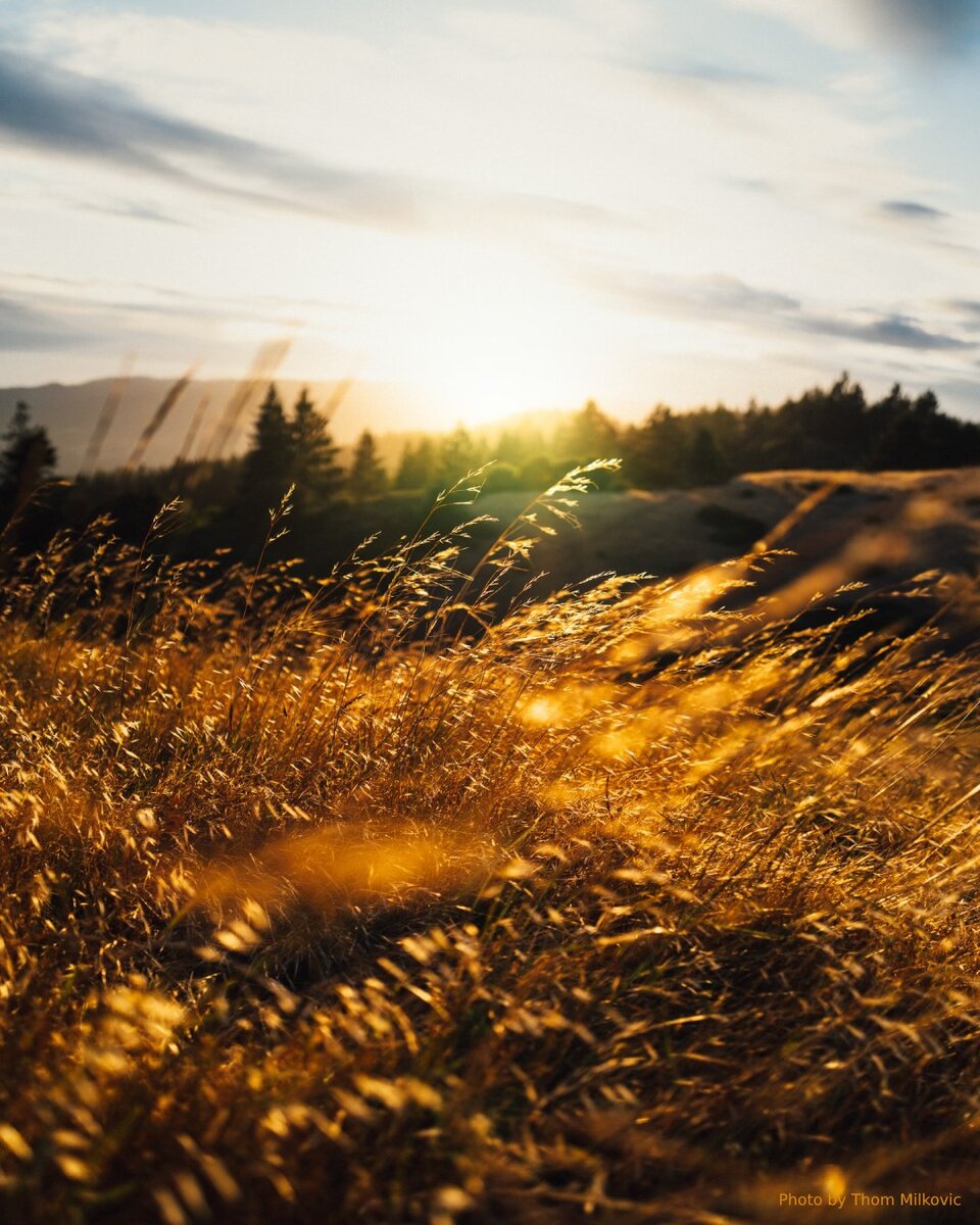 Photo by Thom Milkovic