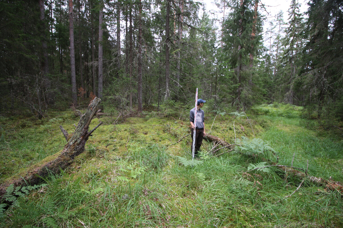 Парни и курганы