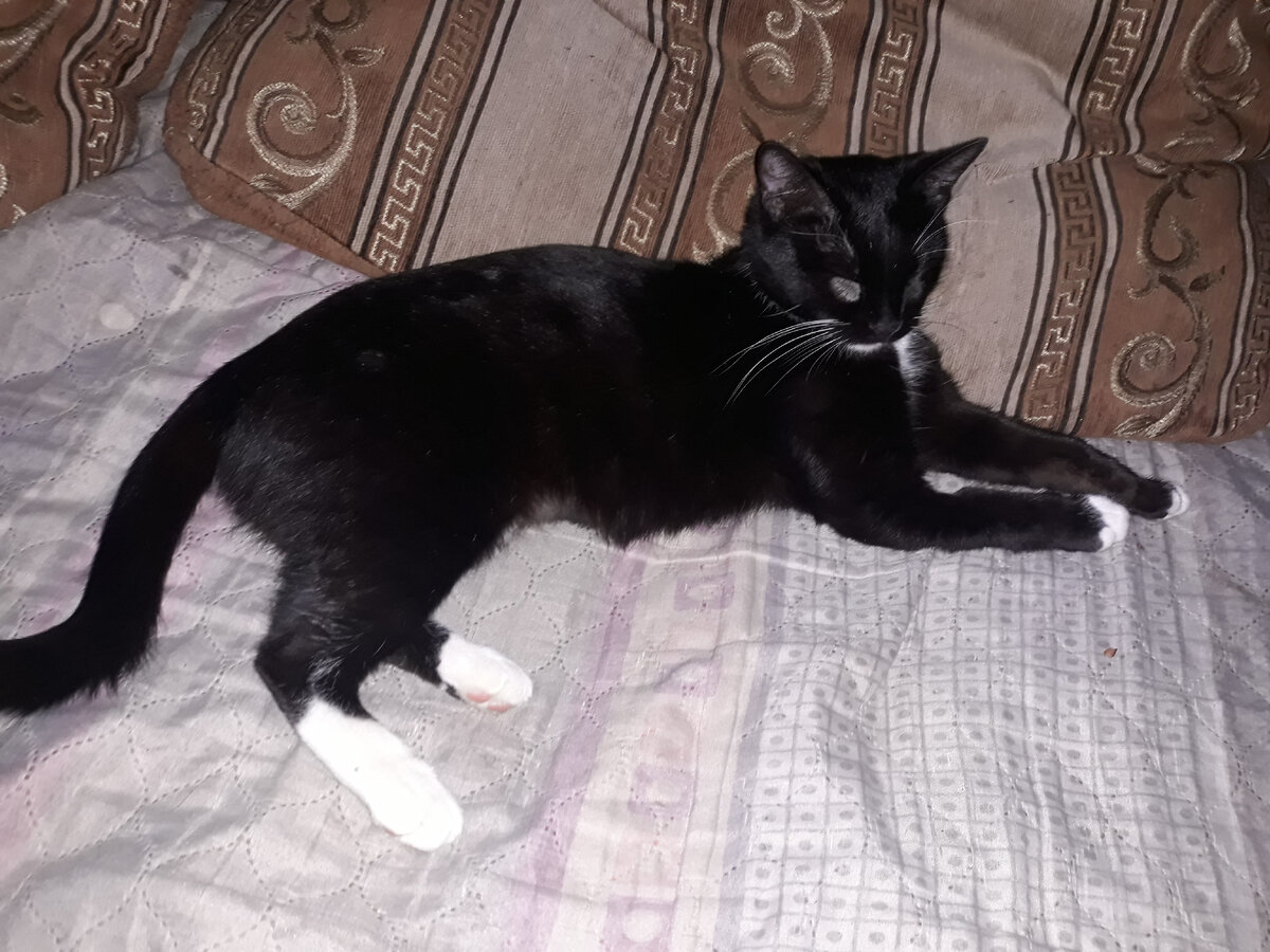 Вот это странное пятнышко у Майи