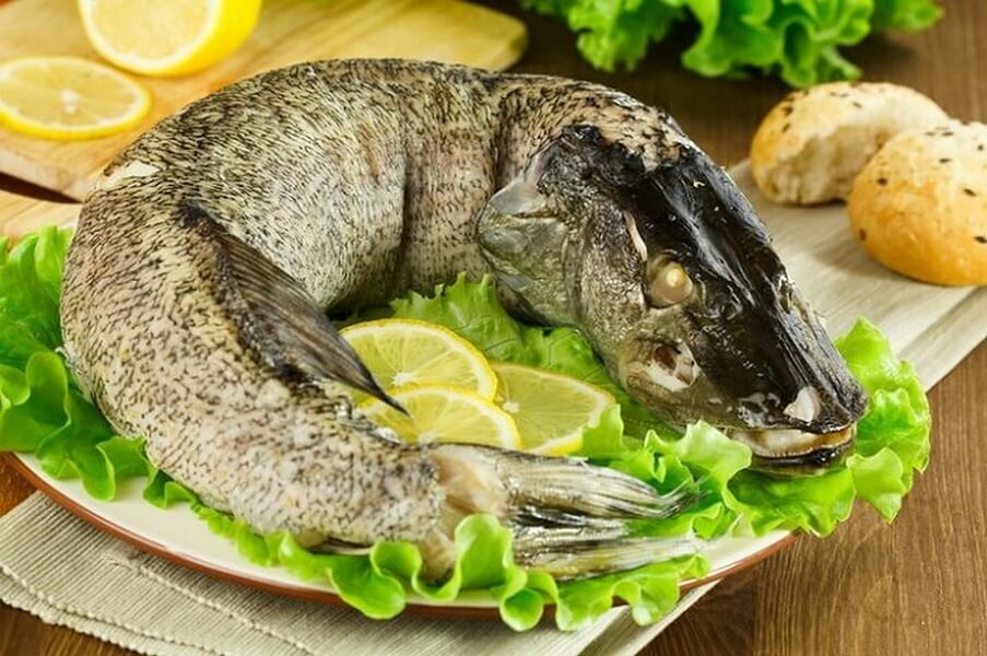 Картинки фаршированная щука
