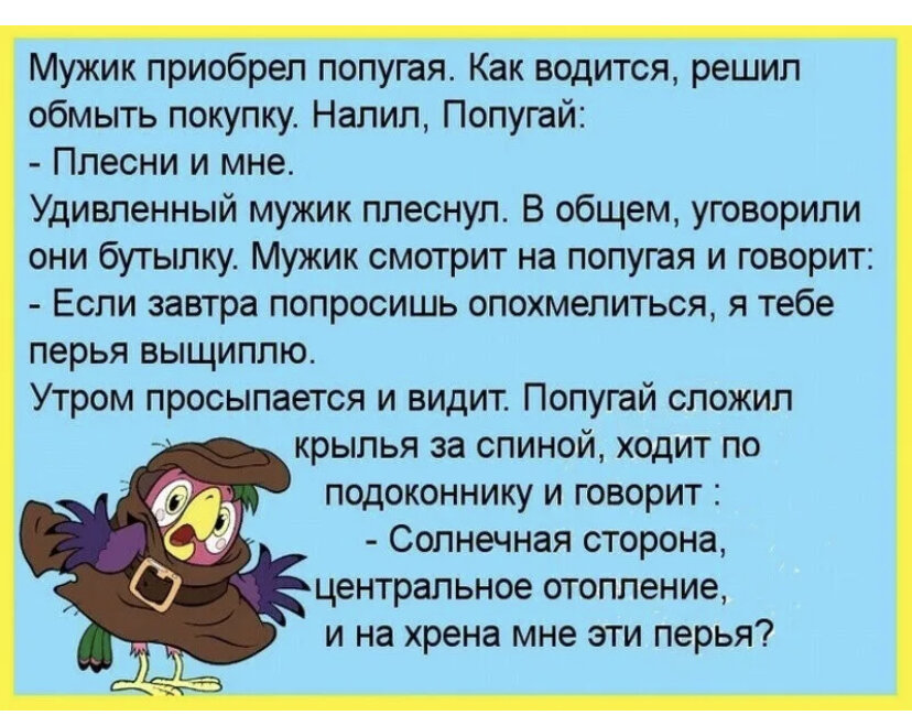 Расскажи 2 анекдота. Анекдот про попугая. Анекдоты про попугая смешные. Шутки про попугаев. Анекдоты с попугаем.