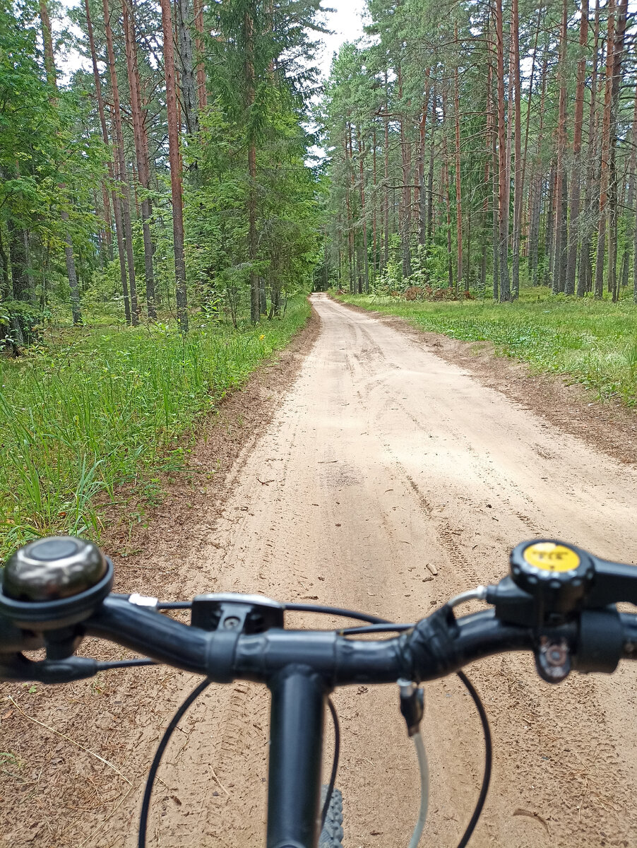 Велосипедная прогулка по лесу для меня - способ подзарядки. 