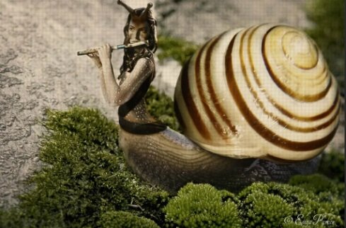 Изображение из открытых источников. Все права на изображения принадлежат их авторам.