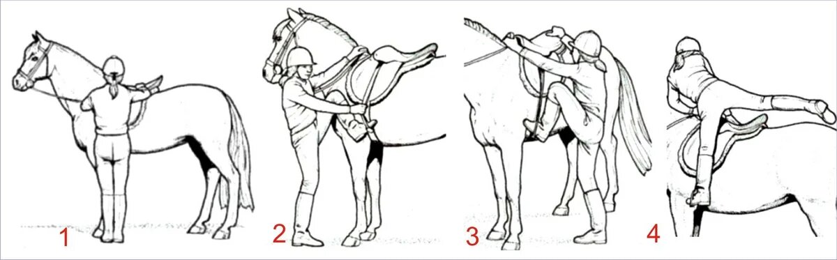 Сев на коня. Сесть на лошадь. Как садиться на коня. Сел на коня. Как правильно сесть на коня.