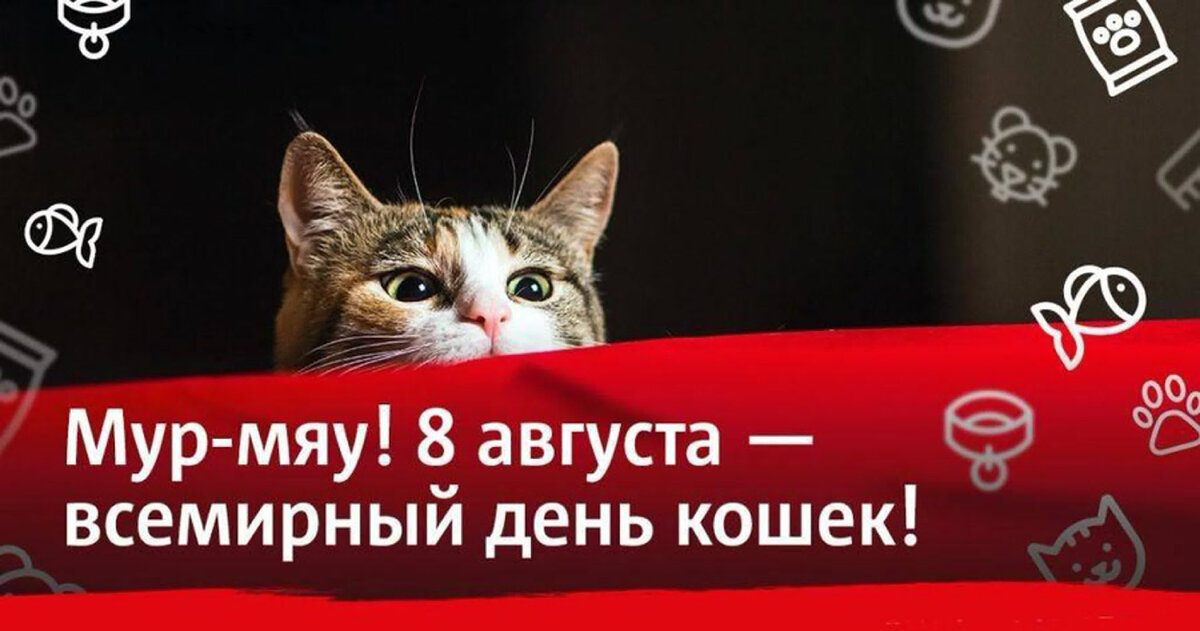 Всемирный день кошек. Международный день кошек 8 августа. Поздравление с международным днем кошек. Всемирный день кошек открытки.