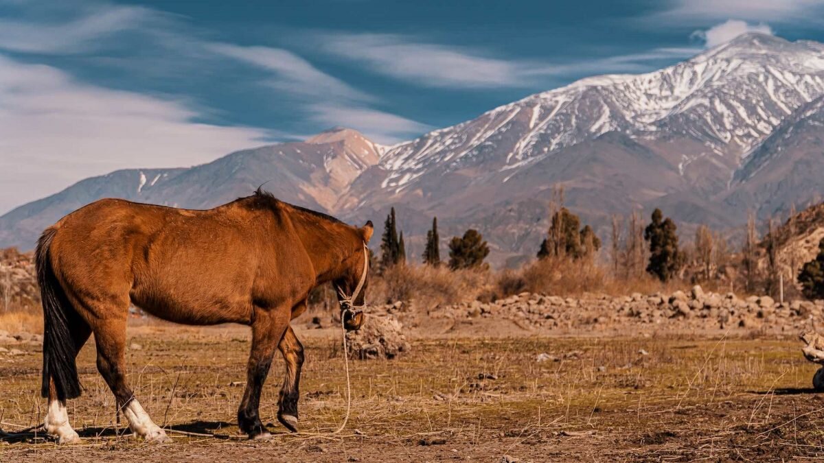    Фото: Unsplash Август Макаров