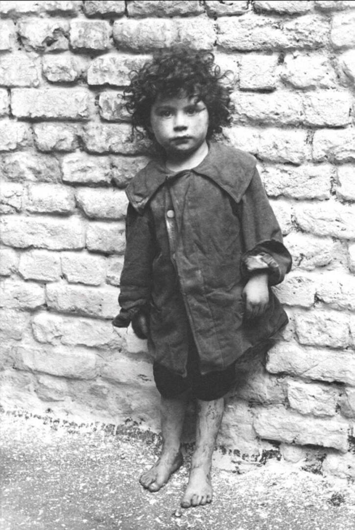 Фото: Horace Warner