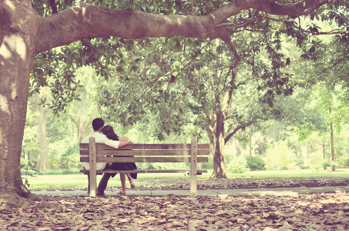 Фото из интернета. Осень.