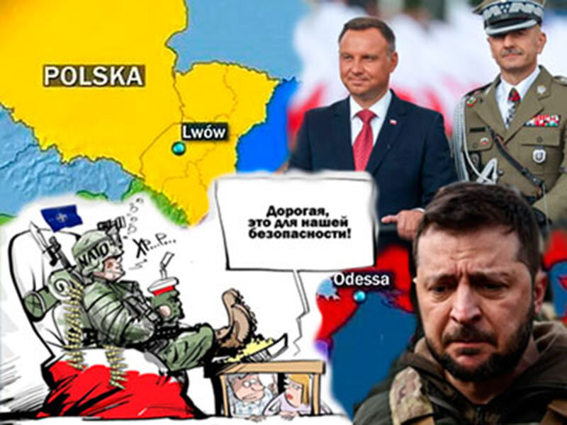 Подписывайтесь на наш канал "Нарполит" и не упустите свежие политические тренды!