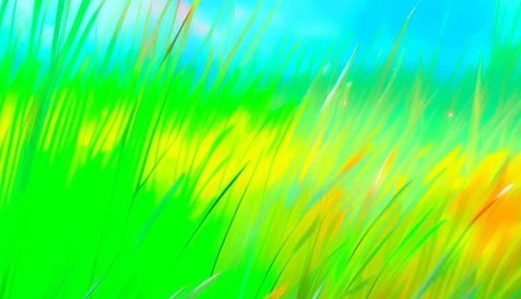    Фермеры с природными ограничениями получат значительную часть средств Общей сельскохозяйственной политики в ЕС в ближайшие годы