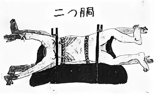 как казнили преступницу щуку в одноименной басне. тимур бекмансуров пермь убийца. тимур бекмансуров убийца. смертная казнь четвертование. басни крылова композиция.