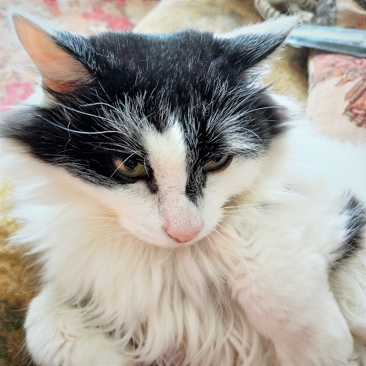 Ну и где оно, моё согласие, последний раз спрашиваю!