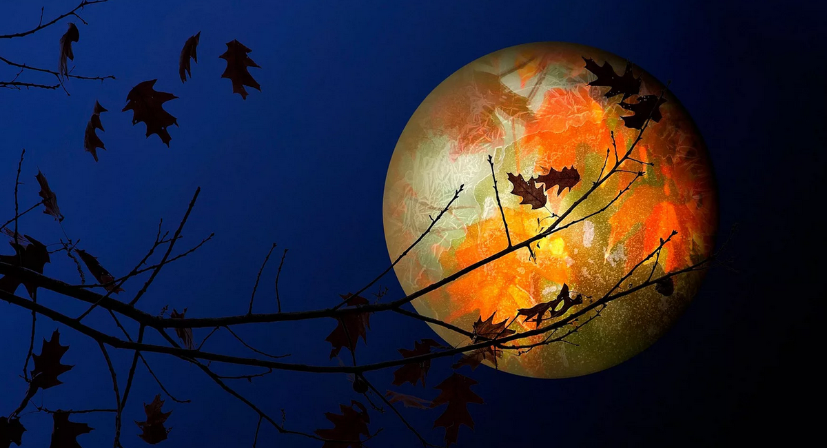 Картинки Яндекс