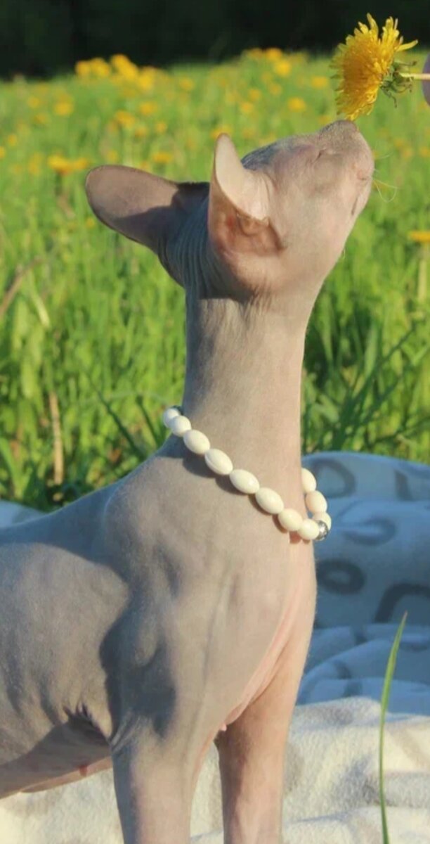 Первая весенняя прогулка 