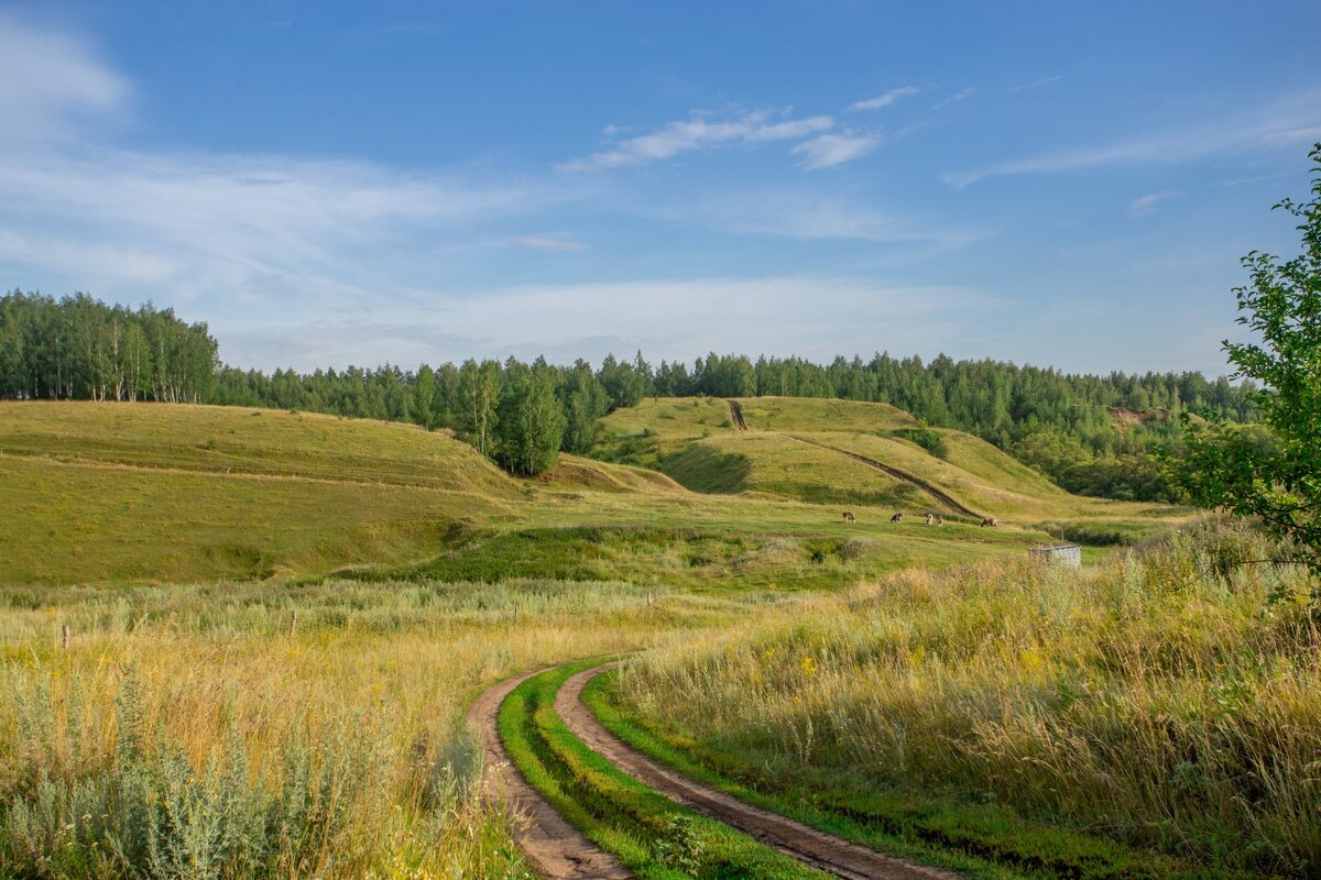 Лысые горы толстой. Лысые горы Тамбовская область. Гора Городище Ростовская область. Лысые горы Тамбов.