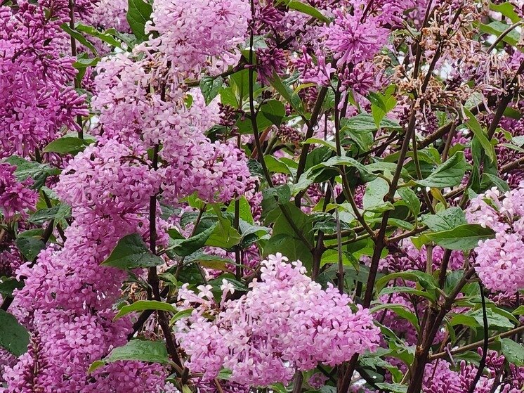     Фото: «МК в Мурманске»