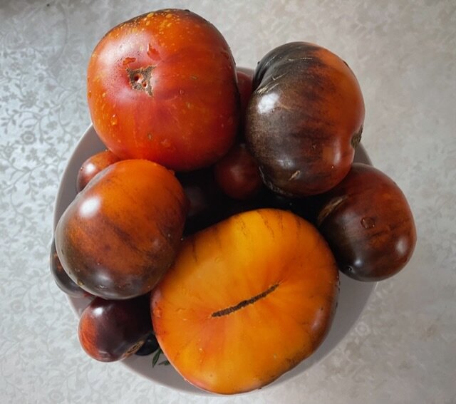 В ЭТОМ ГОДУ В ОСНОВНОМ ВСЕ СОРТА "ЧУМАЗЕНЬКИЕ"