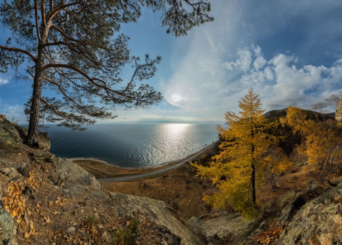 Фото: https://photocentra.ru/work/483090
