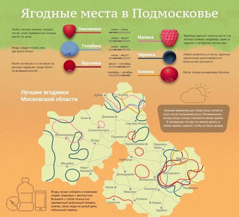 Грибные места подмосковья карта