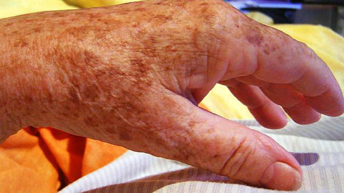 Источник: https://i0.wp.com