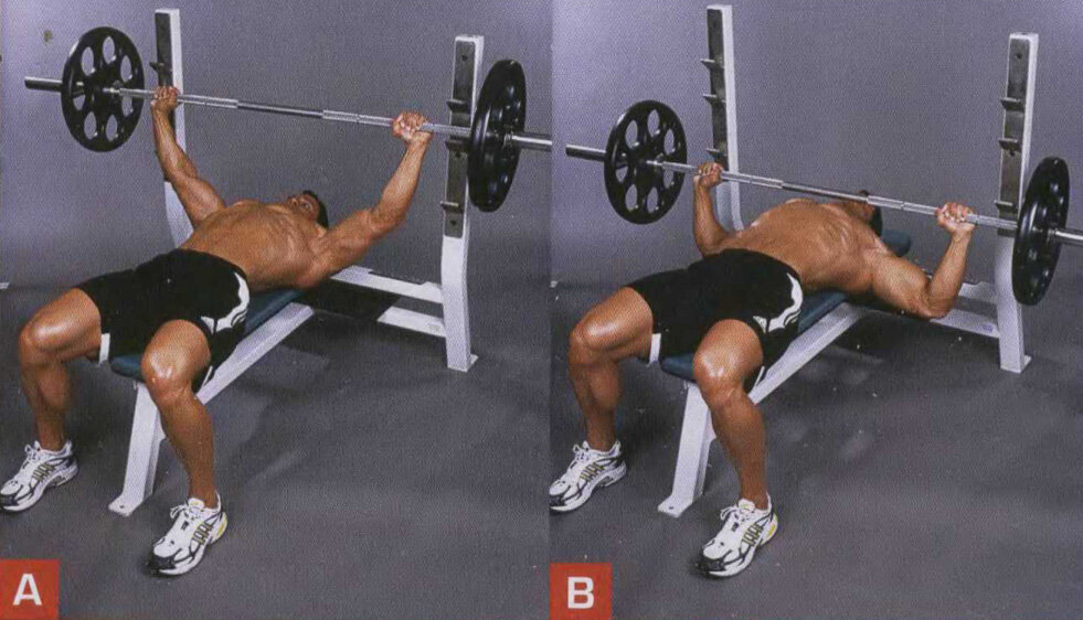 Flat Barbell Bench Press