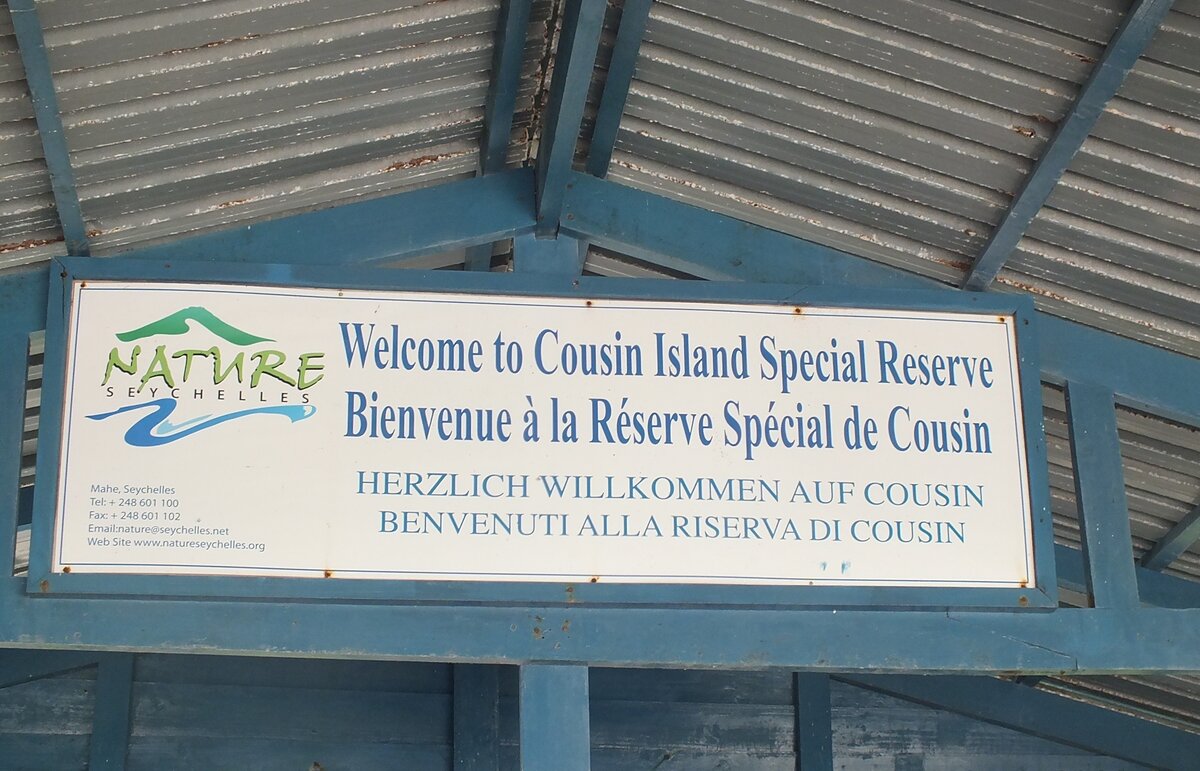 Остров Кузин