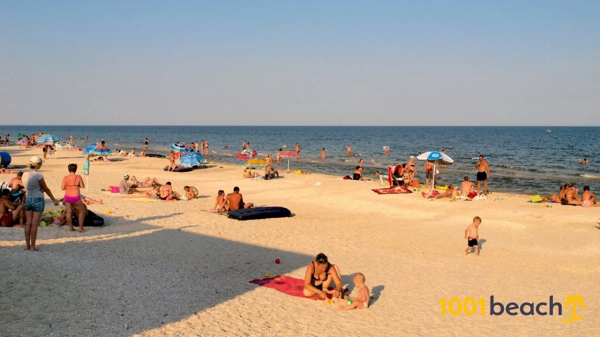 Ноябрь отдых на море где. Комарово пляж. Азовское море отдыхать с детьми. Азовское море куда лучше поехать. Днепропетровск пляжи