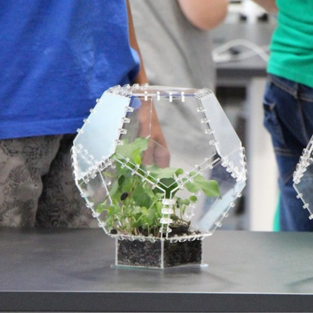 растения в Биоквантуме