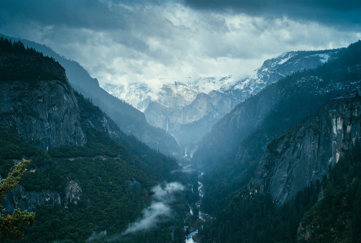 Источник фото: pixabay