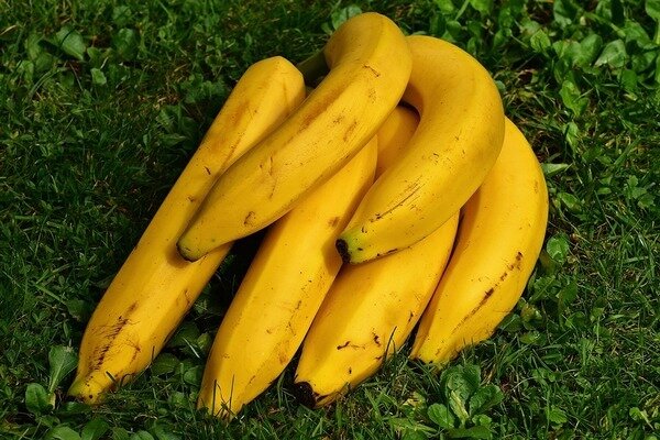 Бананы можно добавлять в утренний смузи (Фото: Pixabay.com)